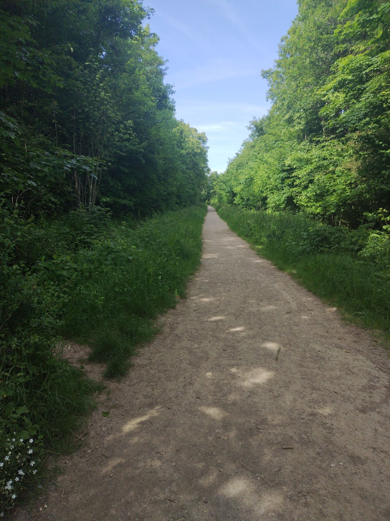 Weekley Hall Woods