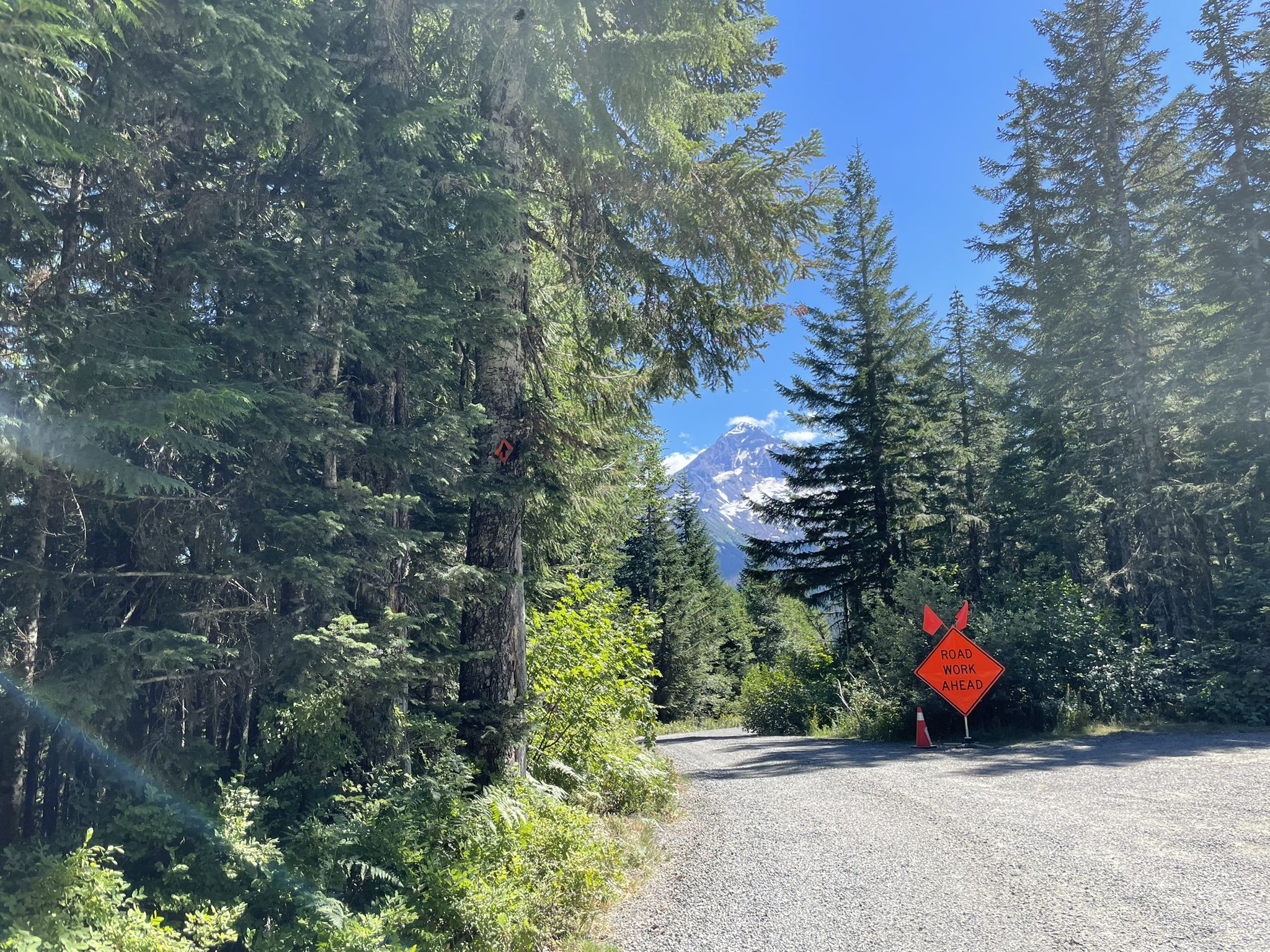 Gravel road through a sunny forest with a snowy mountain peak in distance. - East Lolo Pass Road