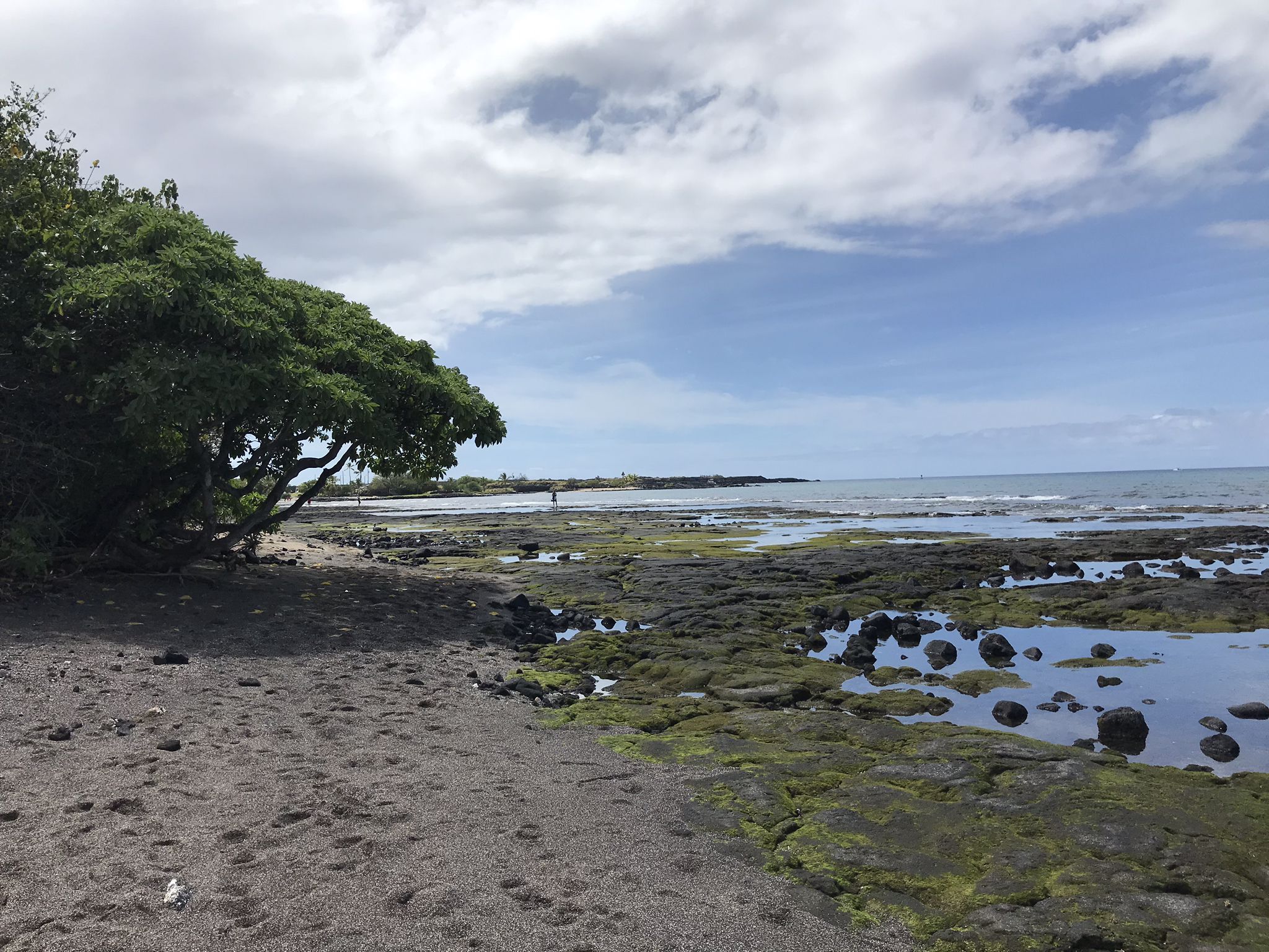 Honokohau Bay