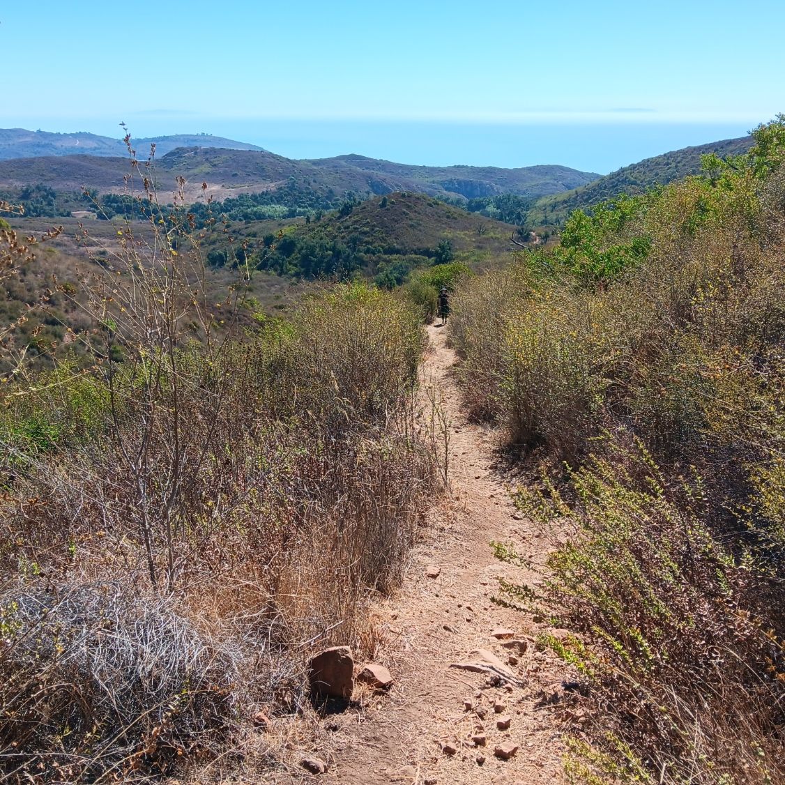 A dirt path winds through dry hills towards a distant ocean. - Nicholas Flat Trail loop from Nicholas Flat Natural Preserve