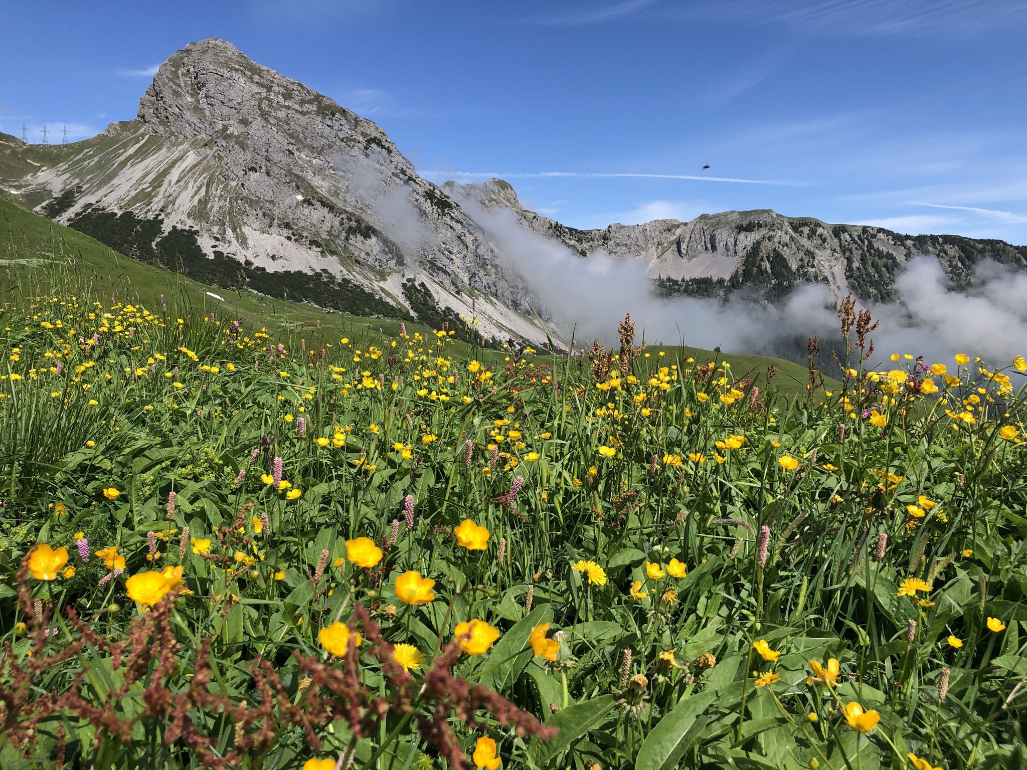 Blick zum Giswilerstock