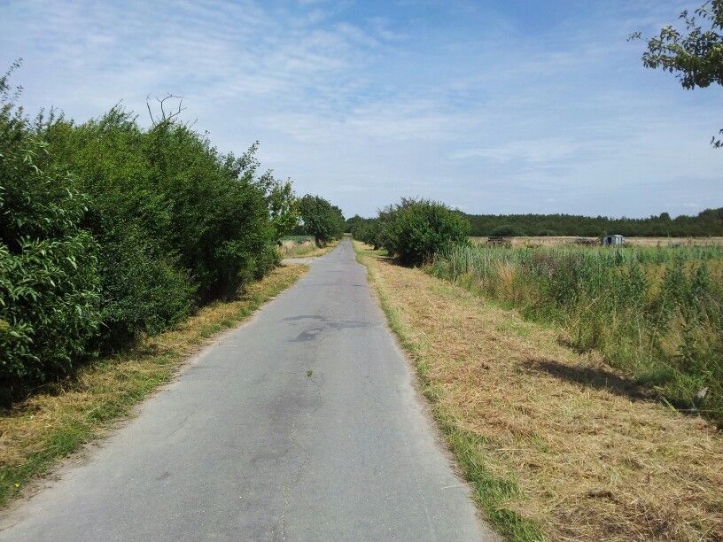 hinter Barmke