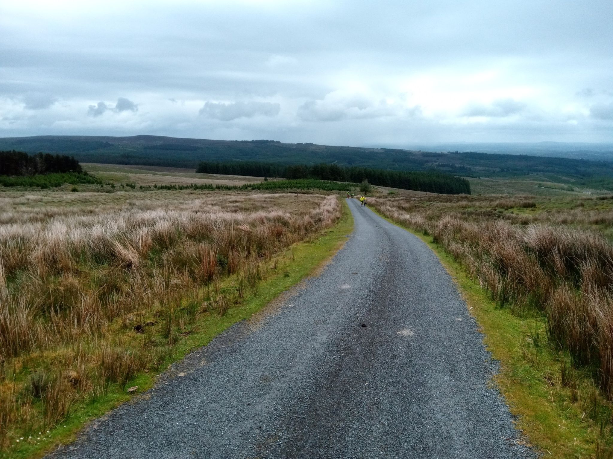 countryside