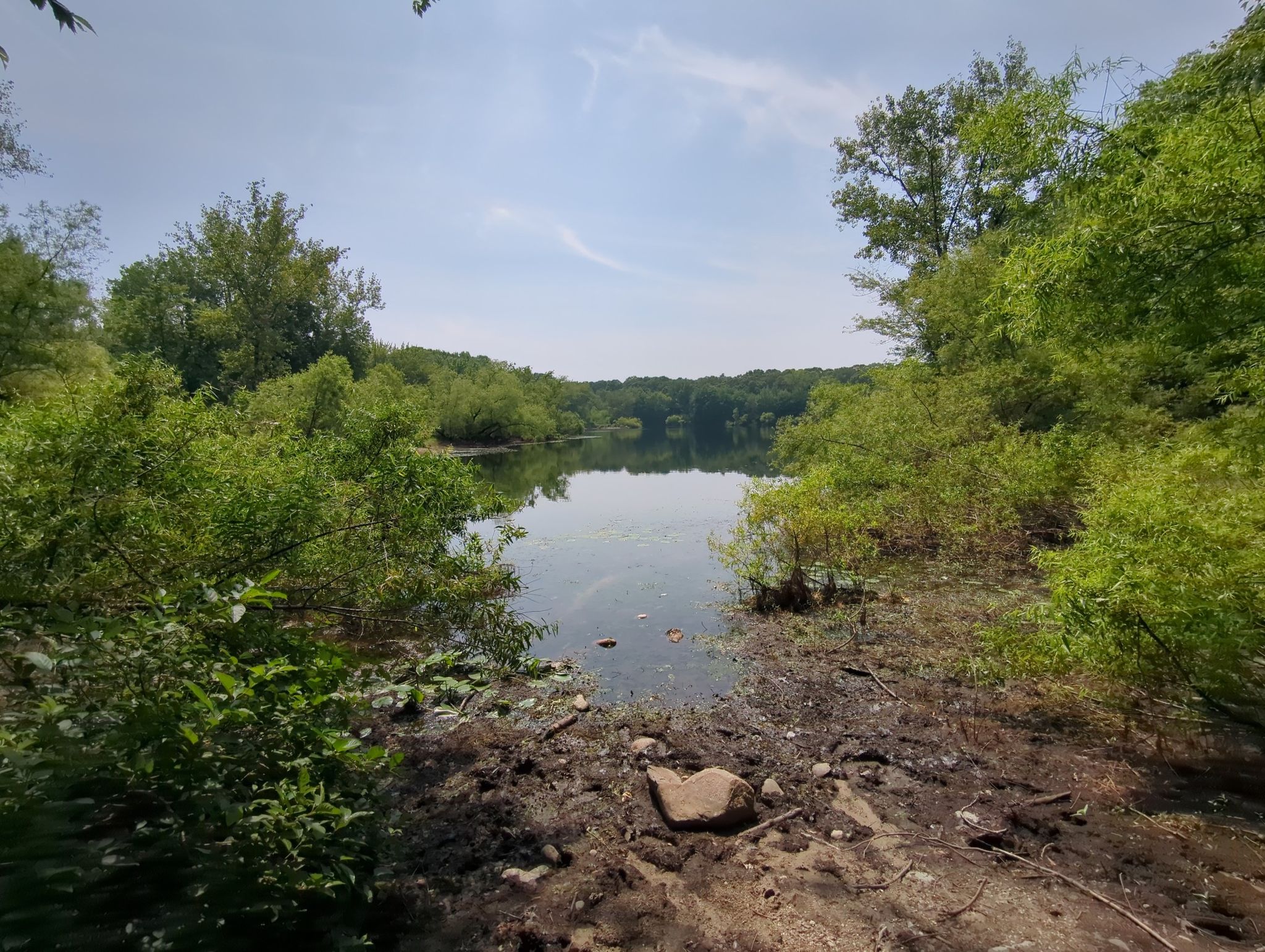 Calm water surrounded by dense green foliage under a bright sky. - Seekonk Sanctuary via Seekonk Meadows