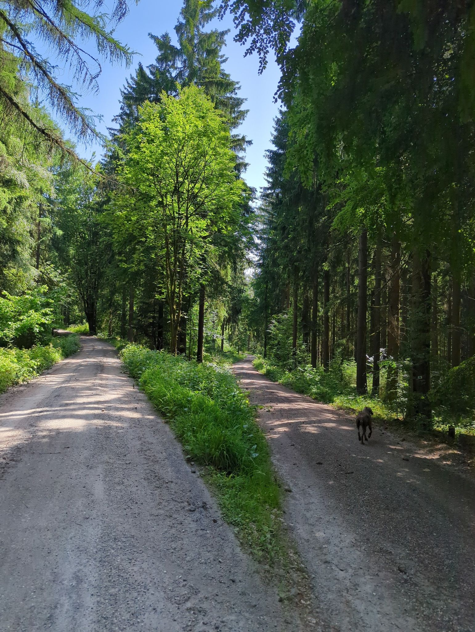Weggabelung...wir gehen links