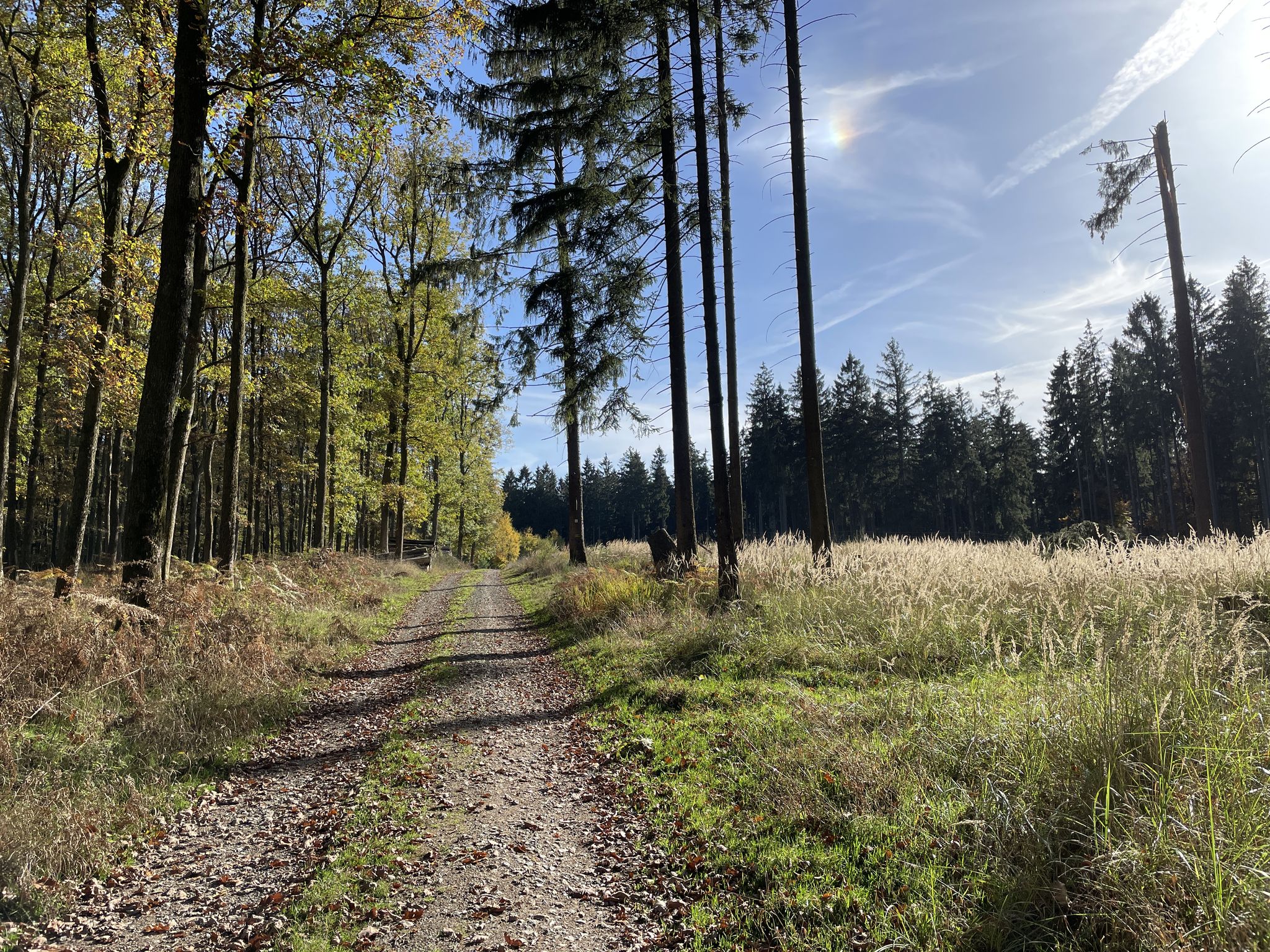 Leichtes Auf- und Ab bei 21°C