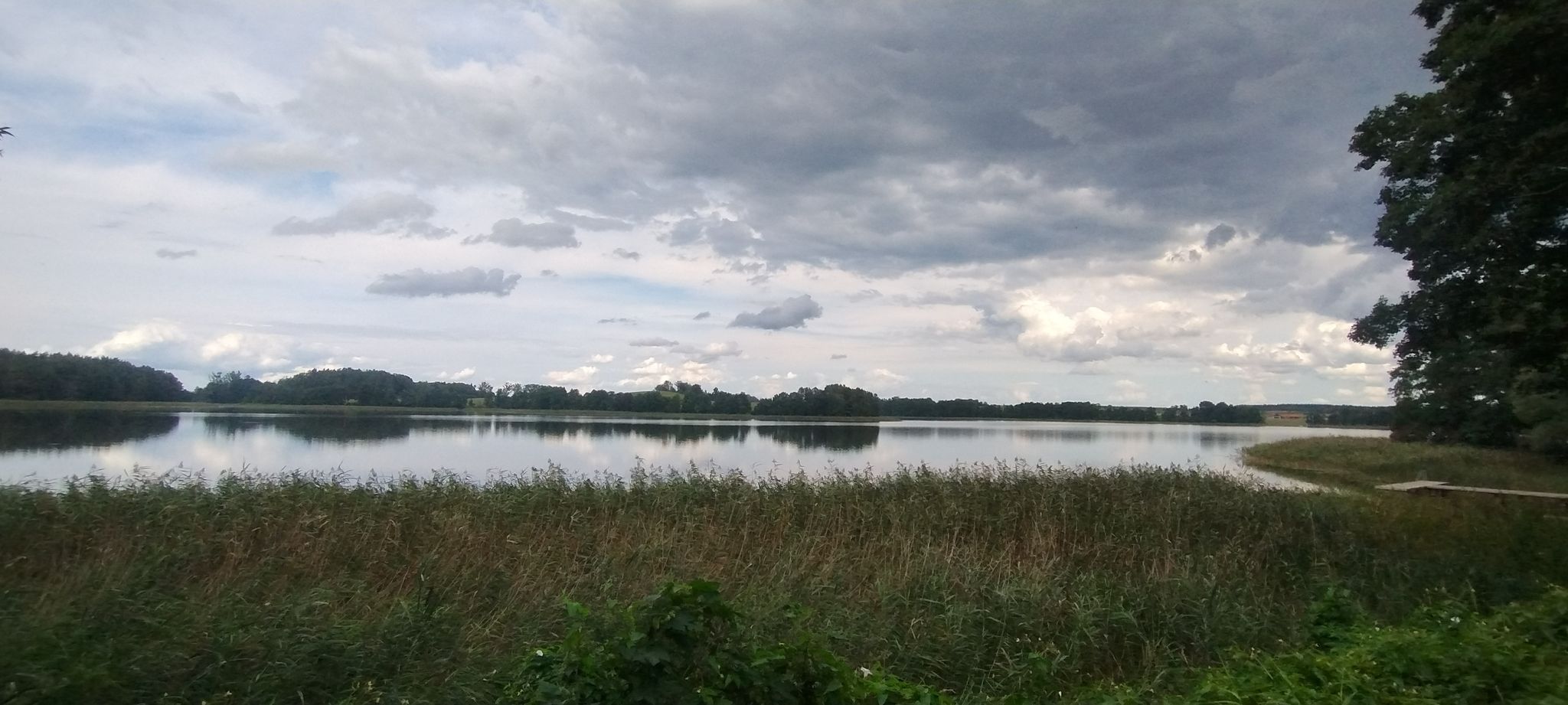 jeż.Wojnowo