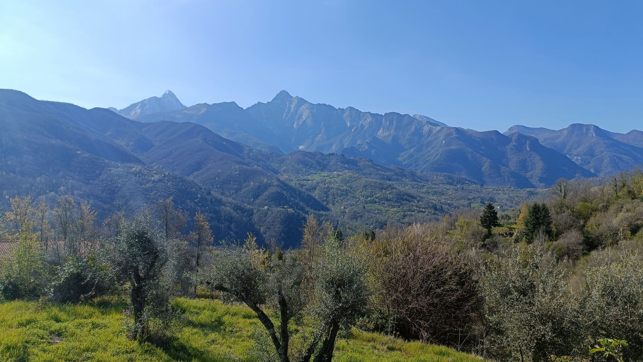 Bella vista sulle Alpi Apuane