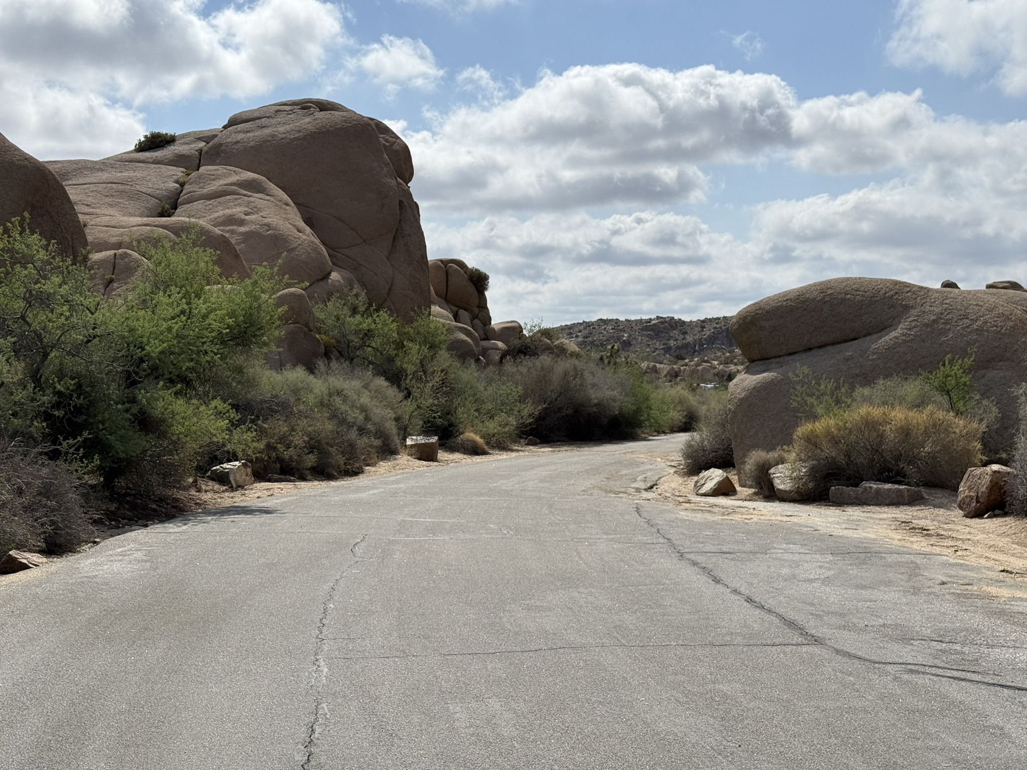 Paved road winding through desert landscape with large rock formations and shrubs. - Chimney Rock – Jumbo Rocks Campground loop from Jumbo Rocks