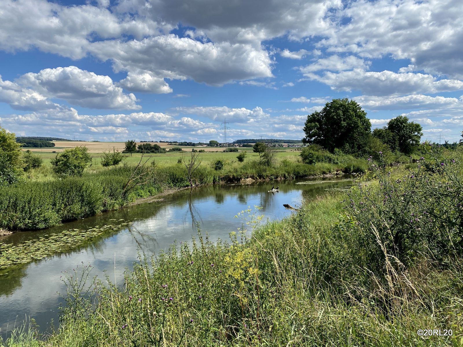 Renaturierungsbereiche an der Nidda
