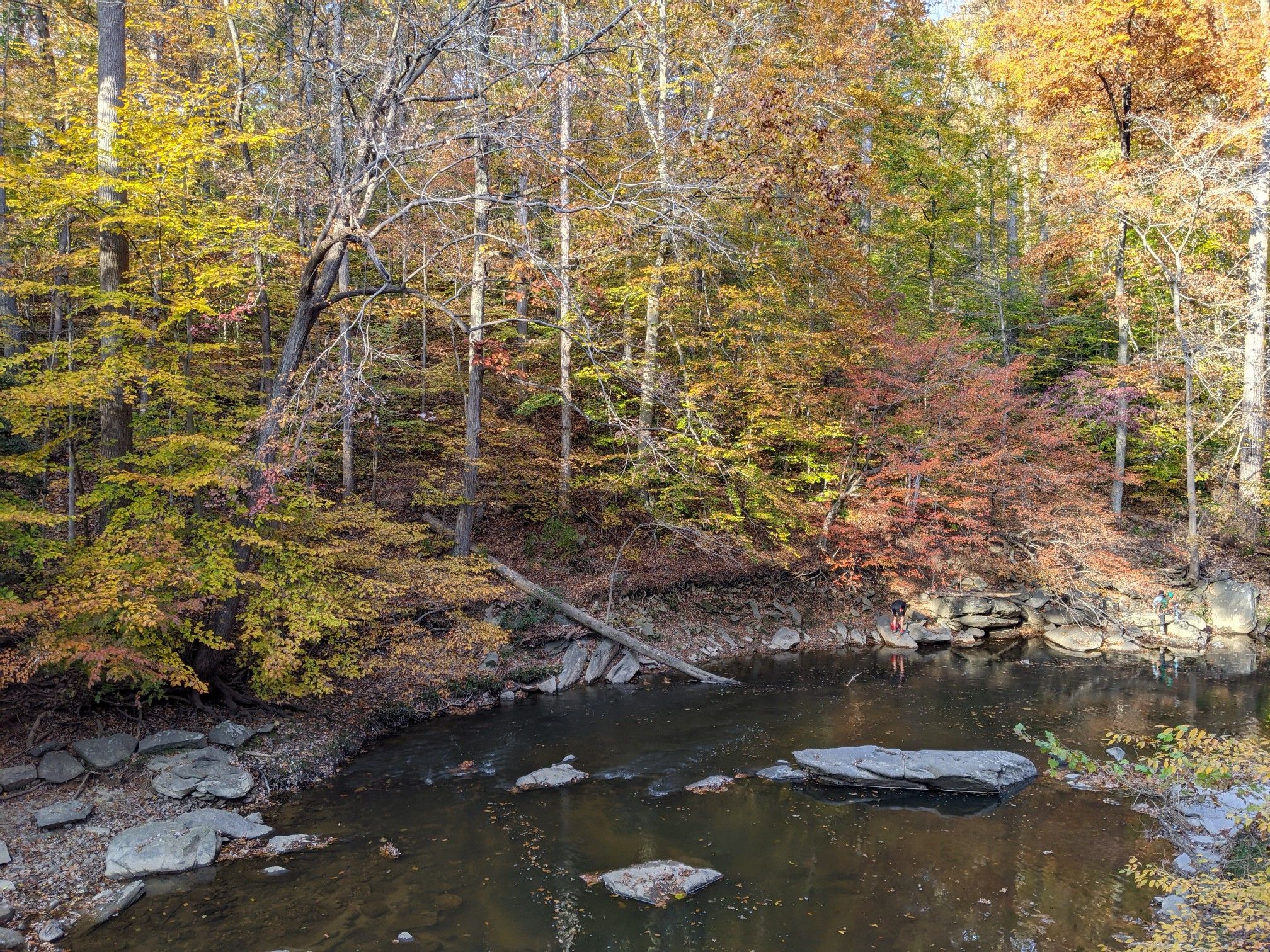 A calm pond surrounded by a vibrant forest in beautiful autumn colors. - Rock Creek Park – Bench at the creek loop from Silver Spring