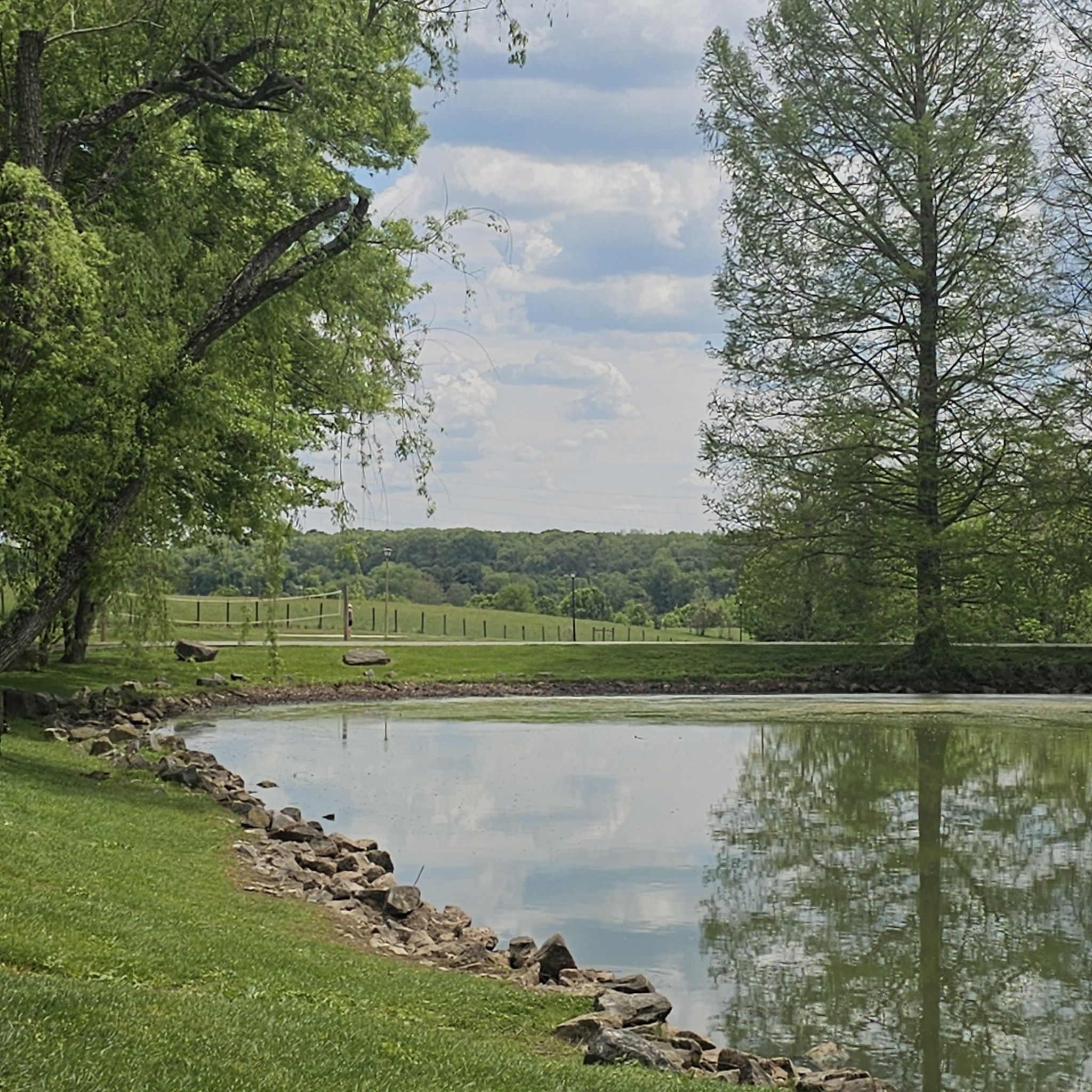 Pond reflecting trees and cloudy sky, surrounded by green grass. - Hethwood Pond – Duck Pond loop from Virginia Tech