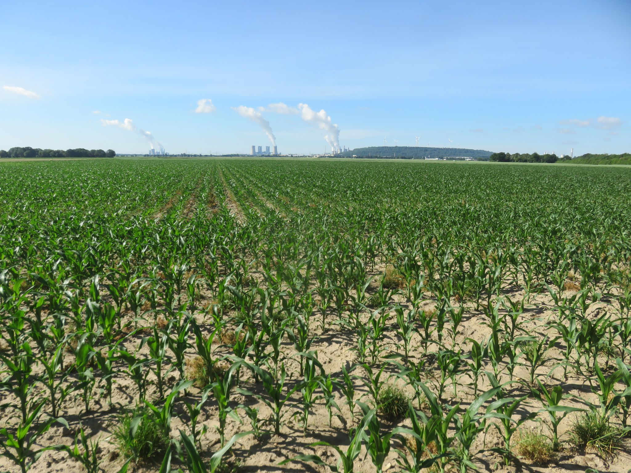 Blick ins Braunkohlerevier