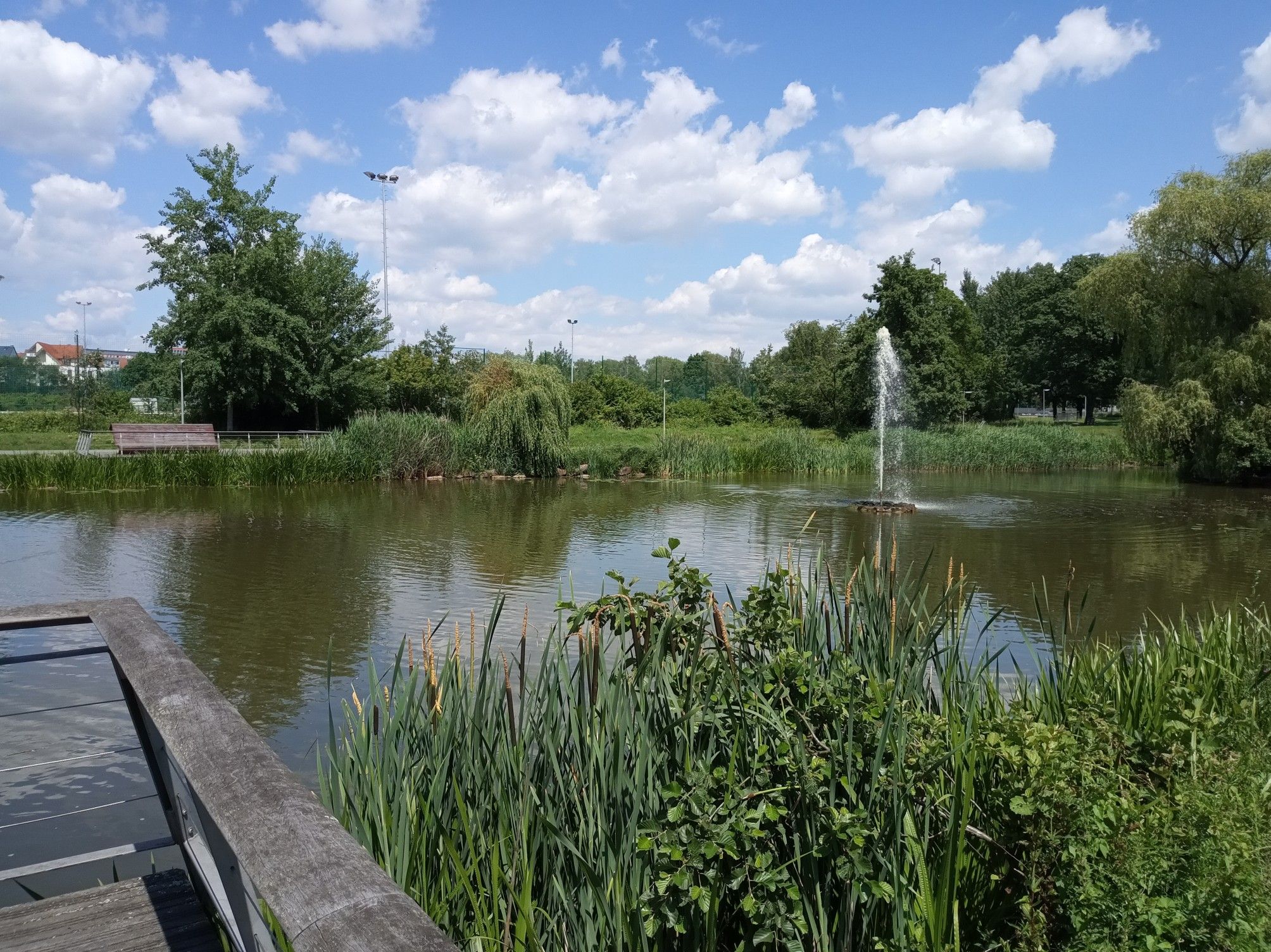 Heinz Lang Park