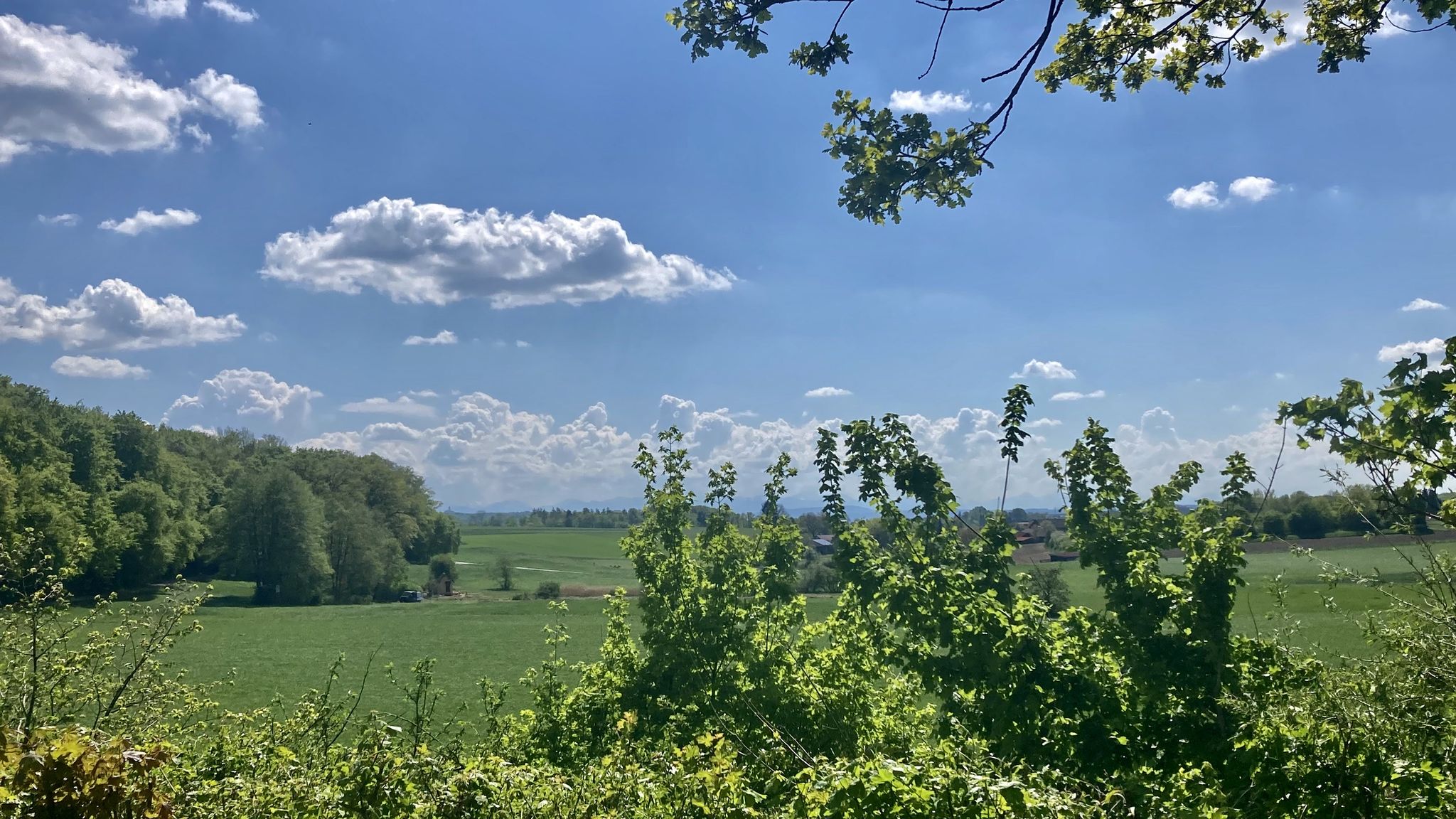 Sehnsuchtsblick in die Berge – dauert noch ein bisschen, aber ich komme