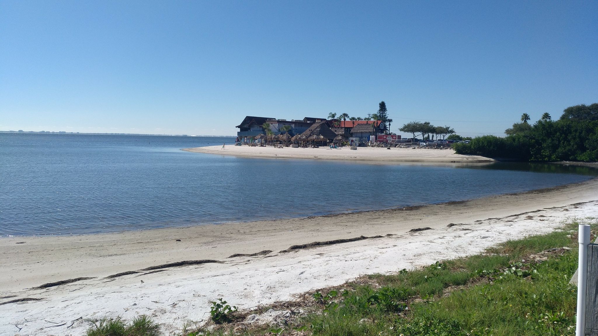 Sandy beach with buildings and palm trees curves around calm blue water. - Courtney Campbell Causeway – Cypress Point Park loop from Jefferson High School