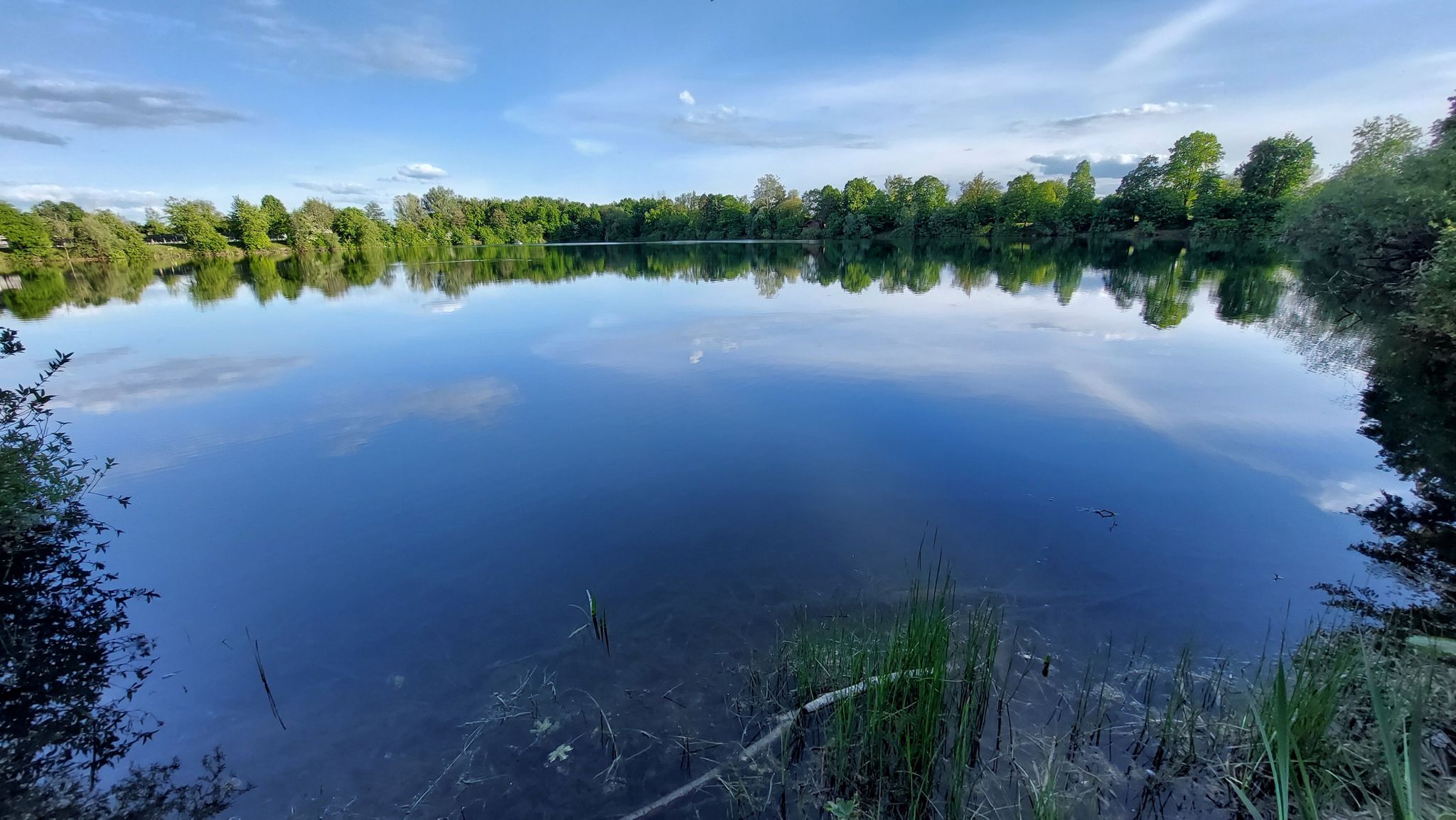 Einer von mehreren Weihern entlang der Donau östlich von Rottenacker