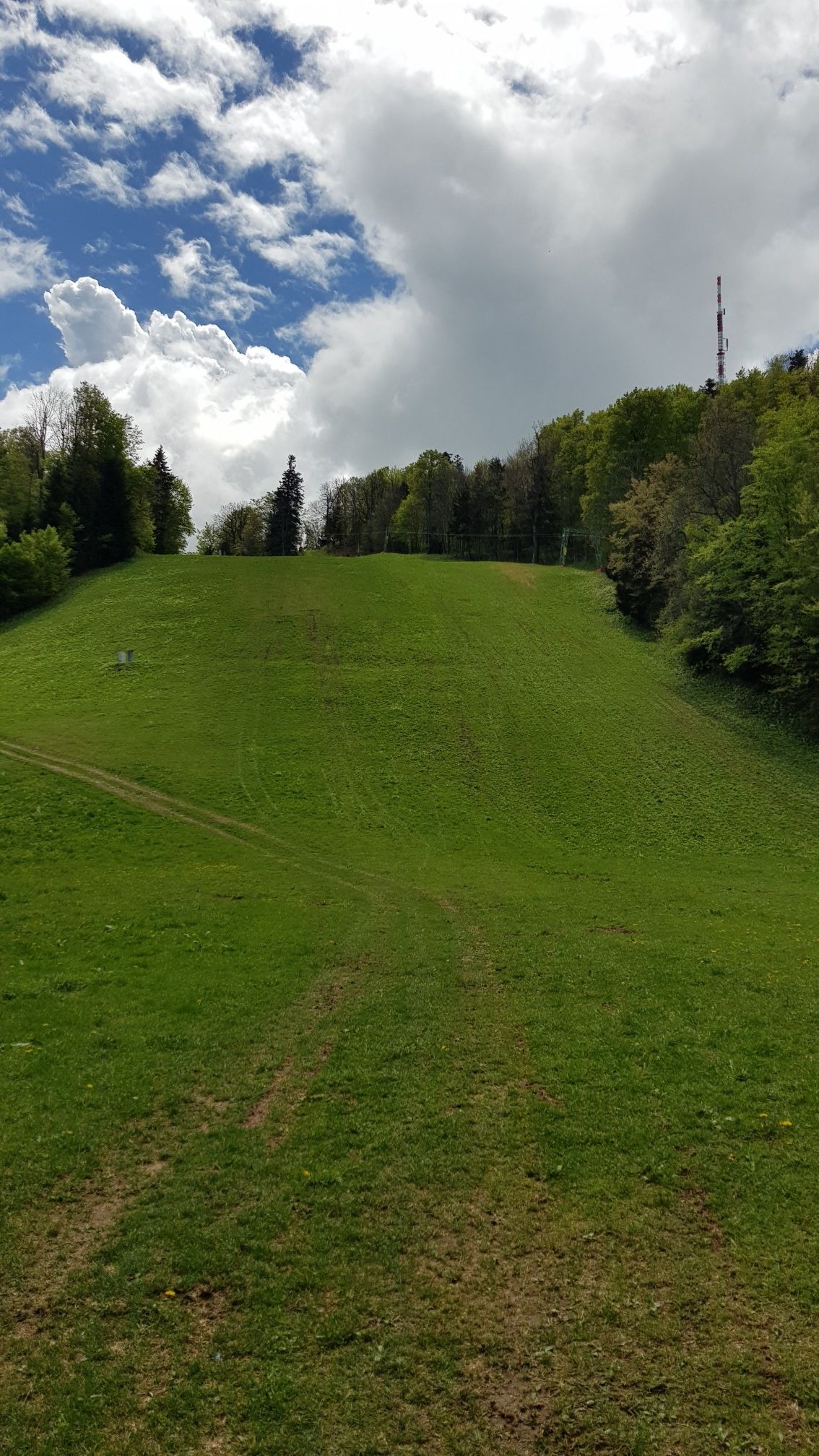 zeleni spust
