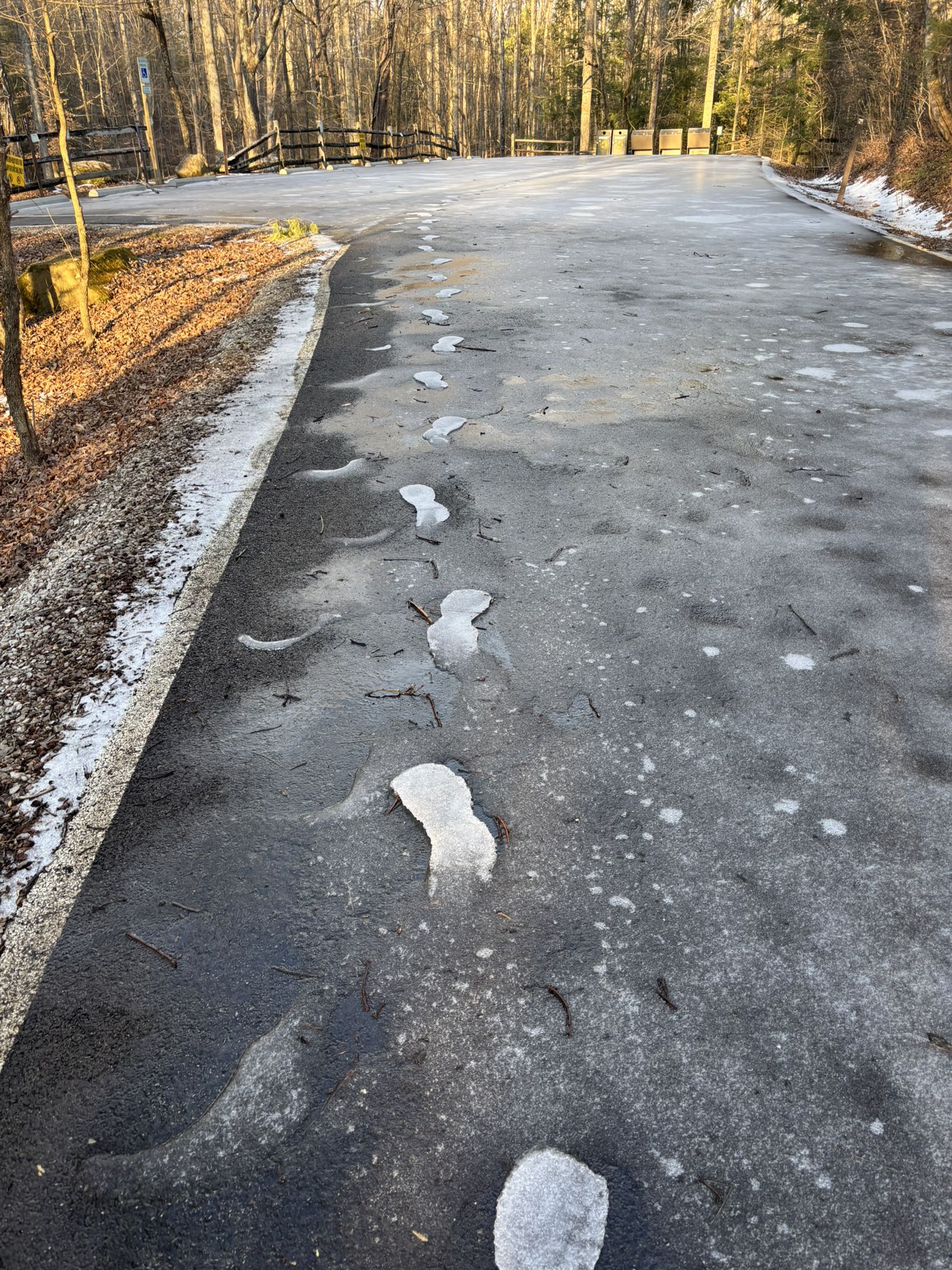 Icy paved path with footprints, surrounded by bare trees in golden light. - Silvermine Arch Trail