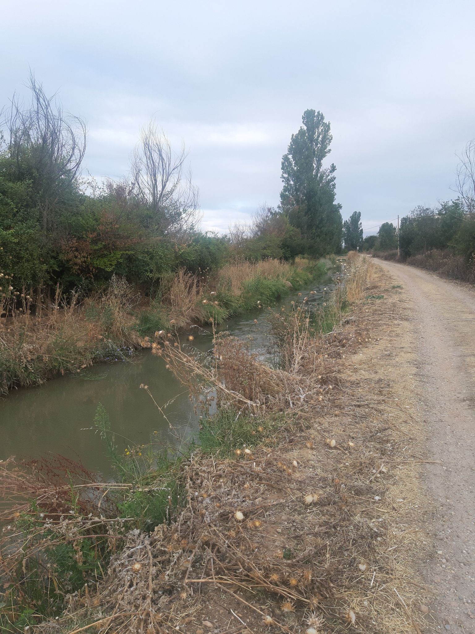 canal del duero