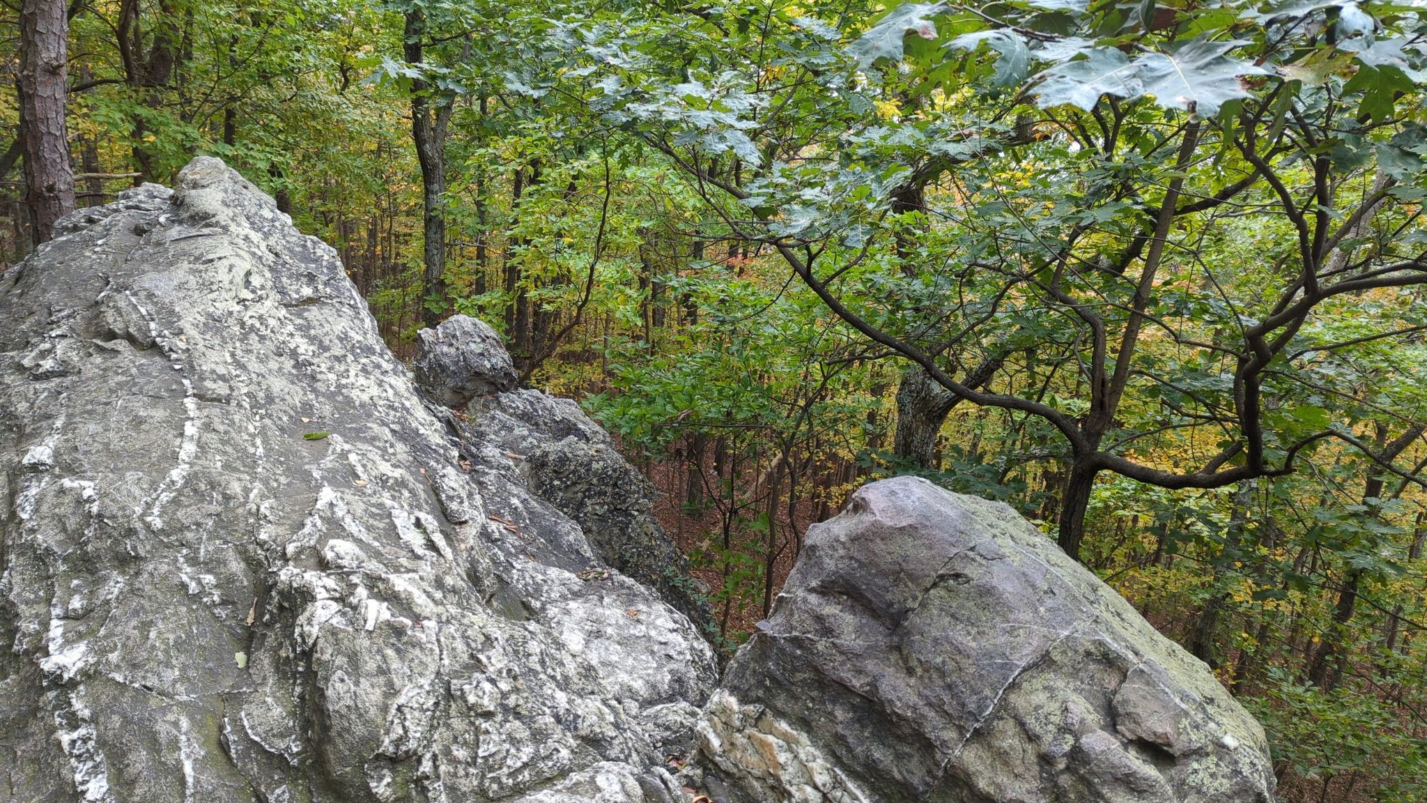 Large grey rocks surrounded by green trees and forest foliage. - Raven Rocks via Appalachian Trail