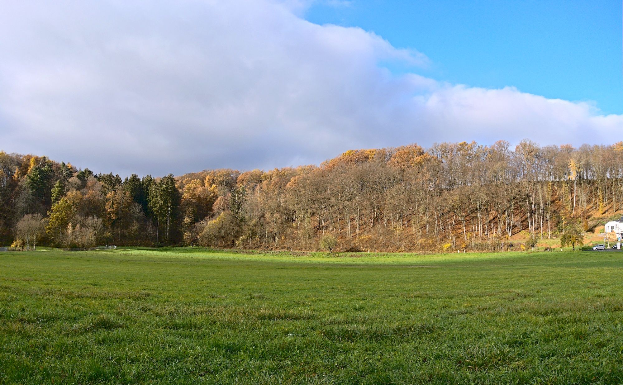 Herrliches Farbenspektakel