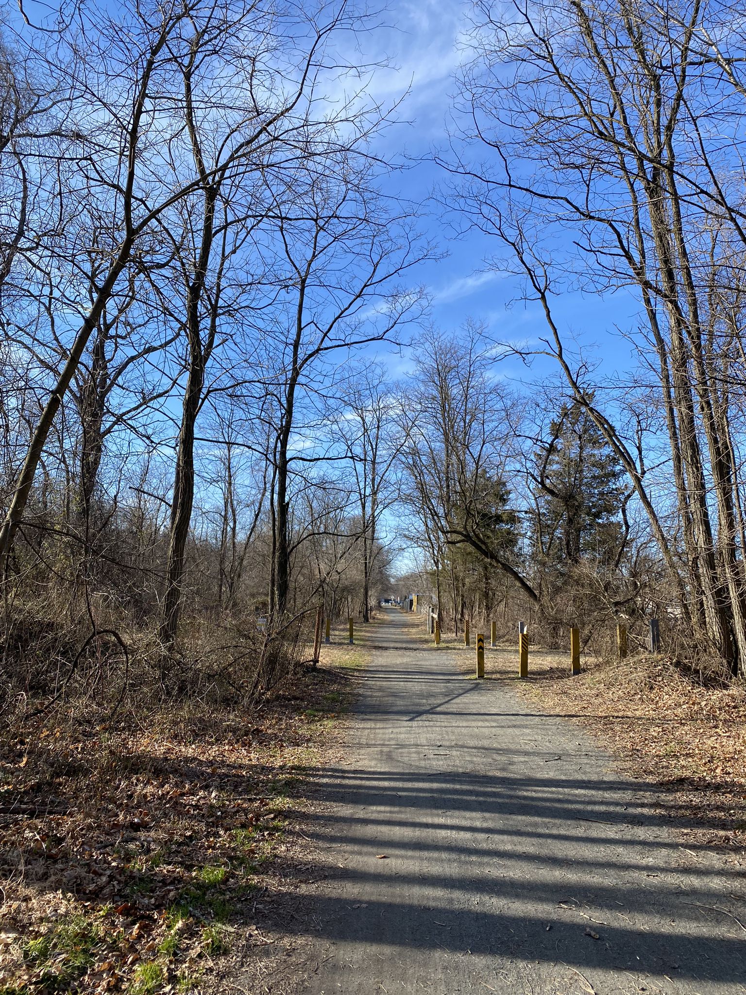 Long path through a winter forest with bare trees and distant walkers. - Schuylkill River Trail: Thun Section