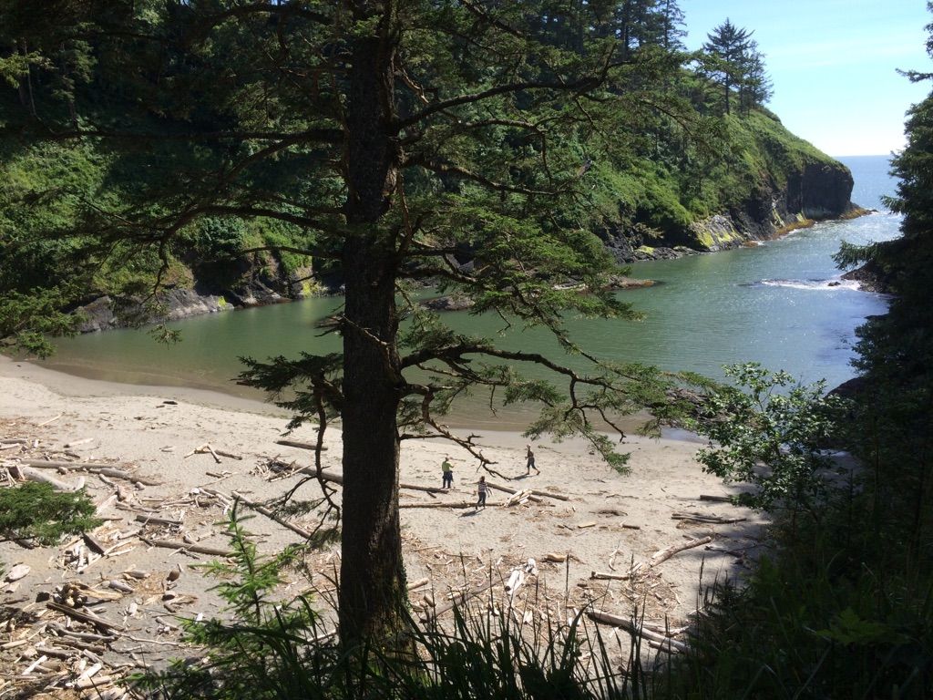 Sunny view of a sandy bay with forested cliffs and people walking. - Cape Disappointment Trail