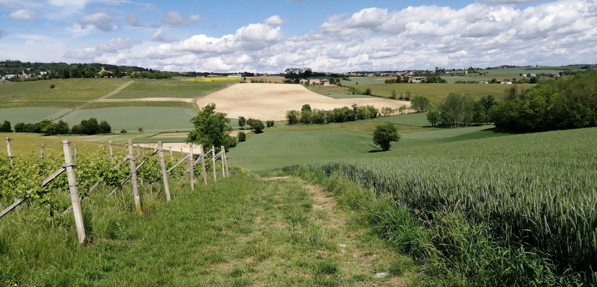 Strada per Tonco