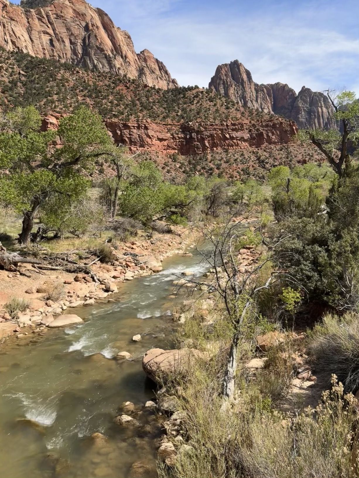 A rushing river with rocky banks, green trees, and towering red rock cliffs. - Hurricane, Utah to Zion National Park
