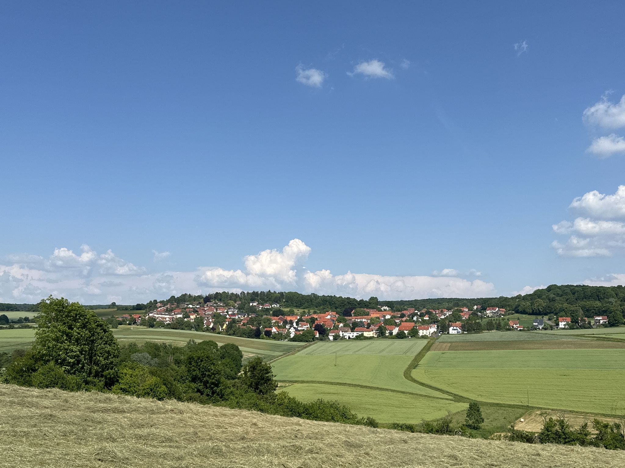 10.06.23: Roringen - Menzelberg 355 m NN
