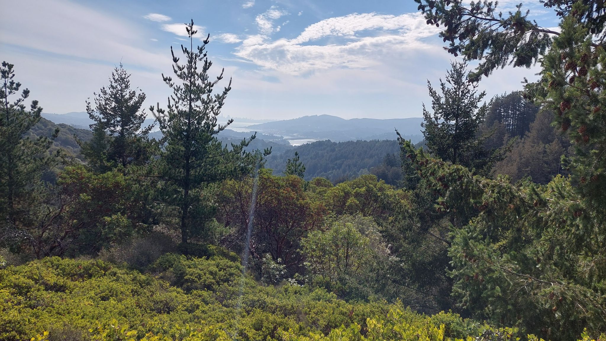 Lush green forested hills overlook a distant body of water under a cloudy sky. - Blithdale Loop