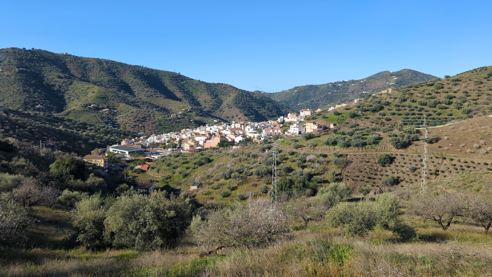 Arenas