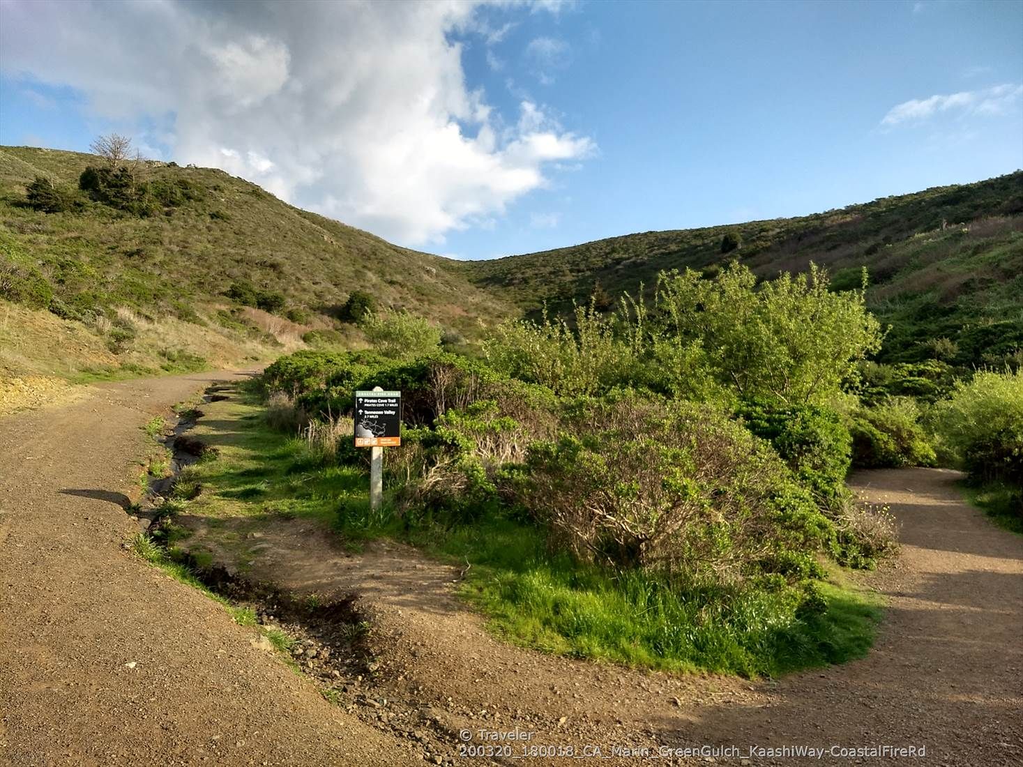 Dirt trail forks through green bushes with a small sign. - Green Gulch Loop