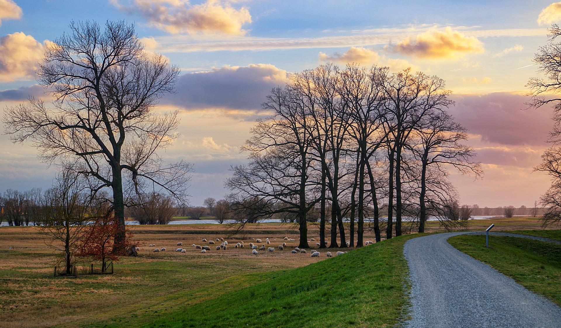 Elektrofahrrader Radeln Mit Elektrischem Ruckenwind Mmh