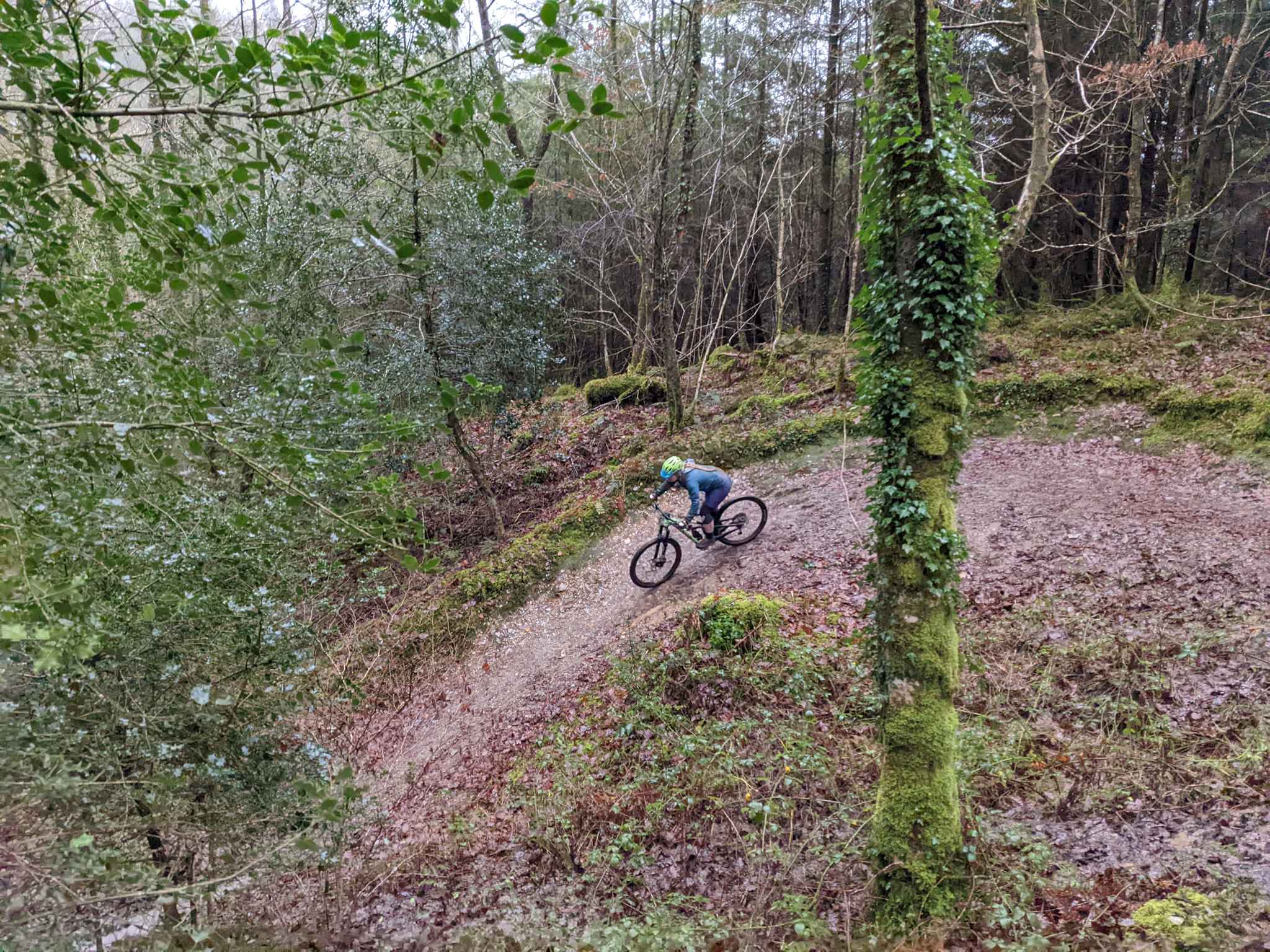 Pooley cheap mtb trails