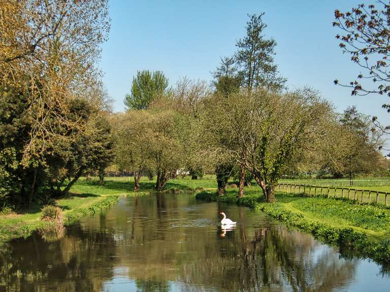 Chalk riversides and historic towns hiking the Itchen Way