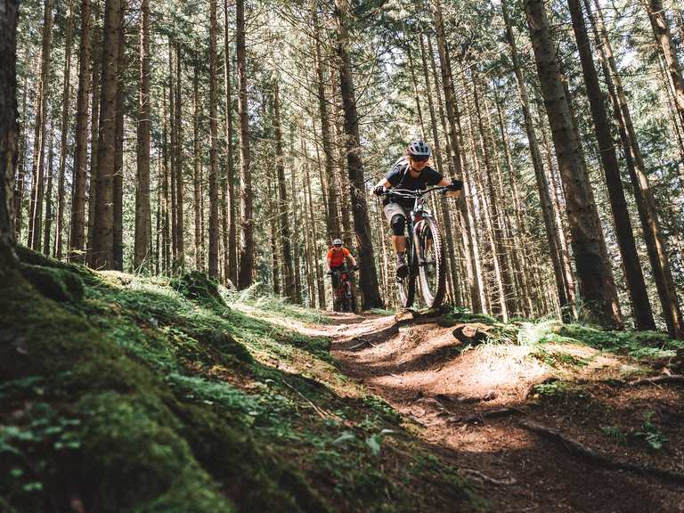 MTB action at its best – the Signature Trail Collection | Mountain ...