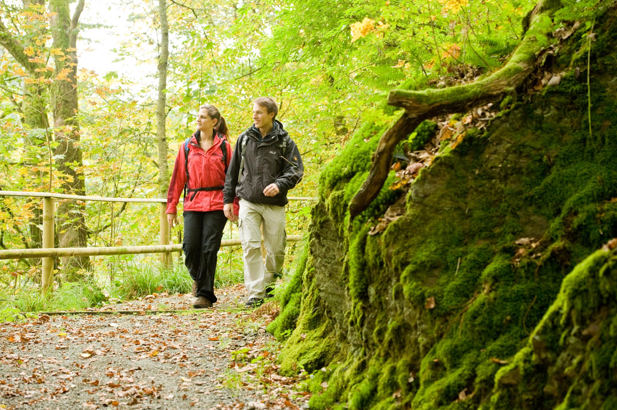 Der WesterwaldSteig In Der Region Westerwald-Sieg | Wander-Collection ...