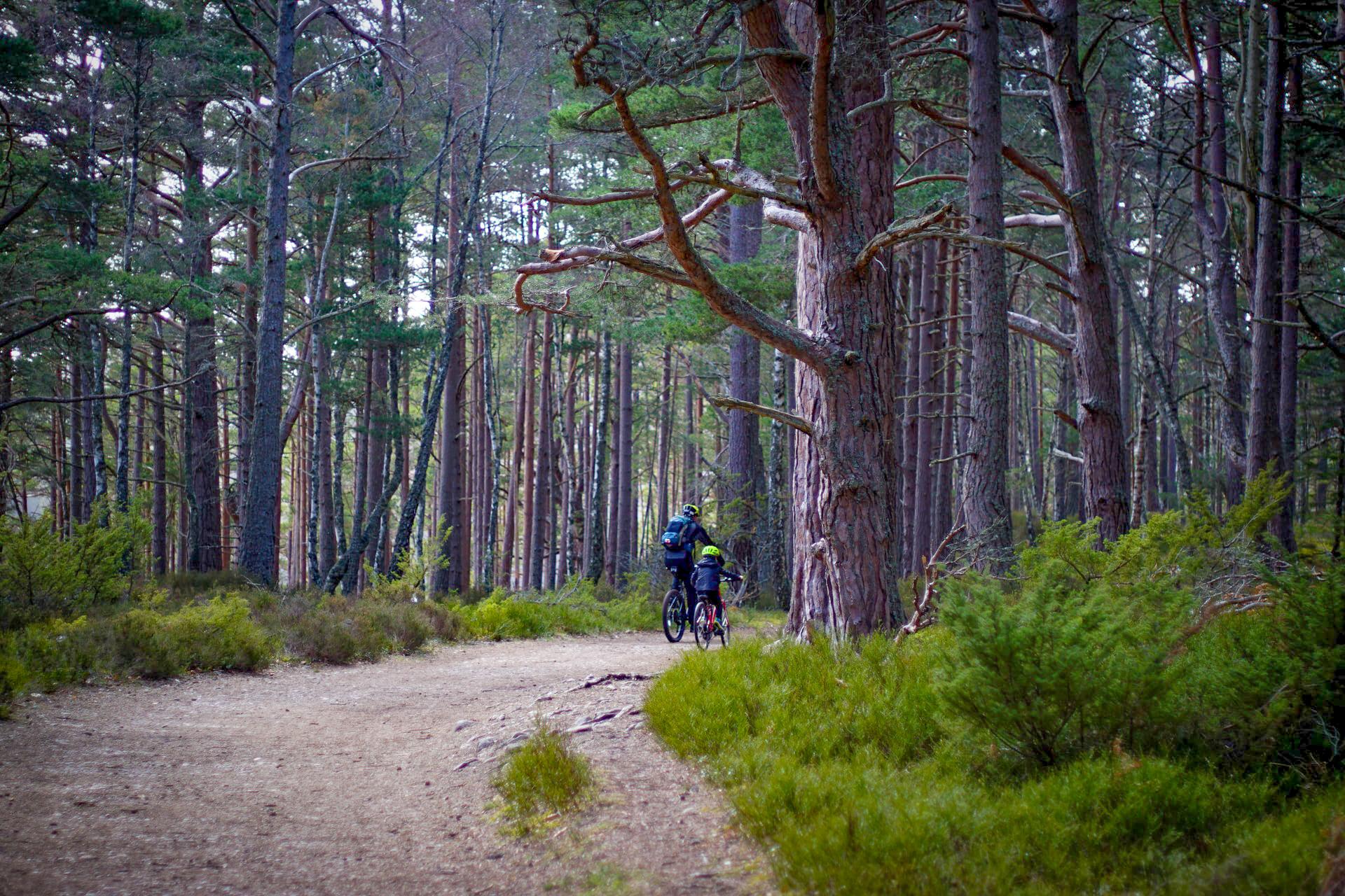 family friendly bike rides near me