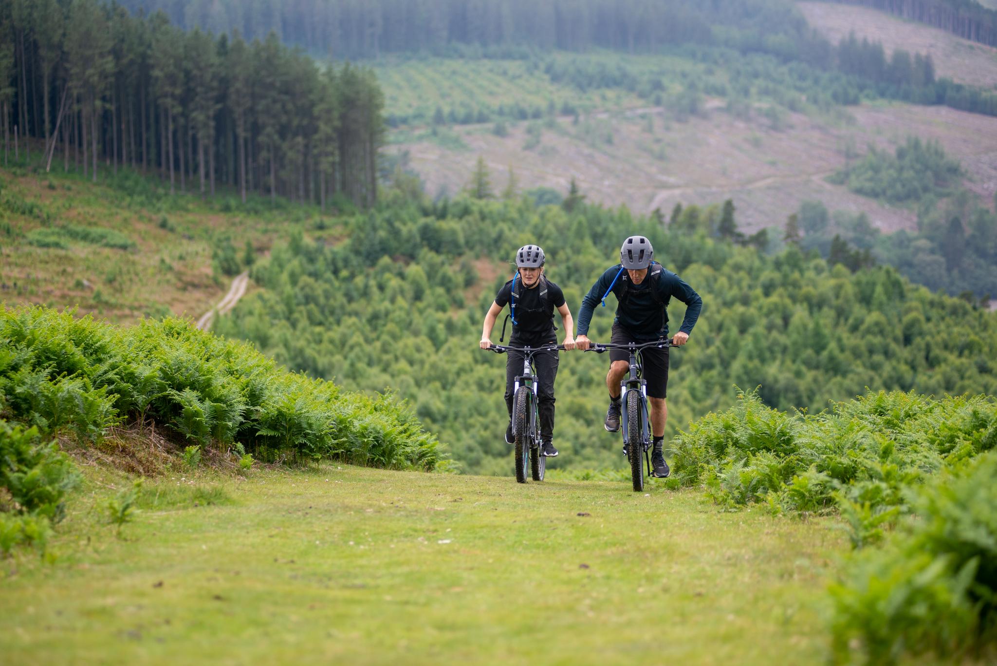 halfords electric bike trial