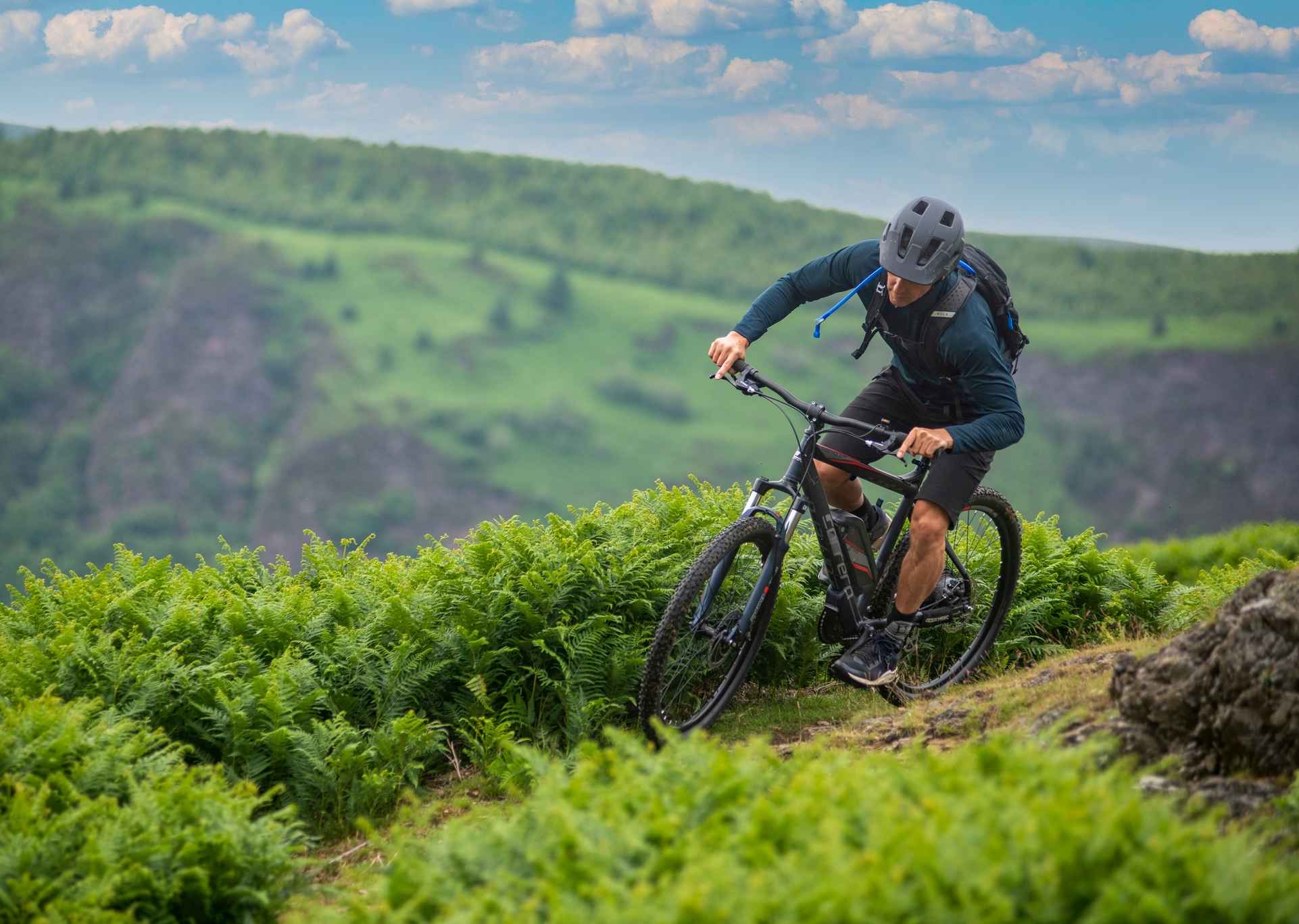 Lickey Hills loop mountain bike ride Komoot