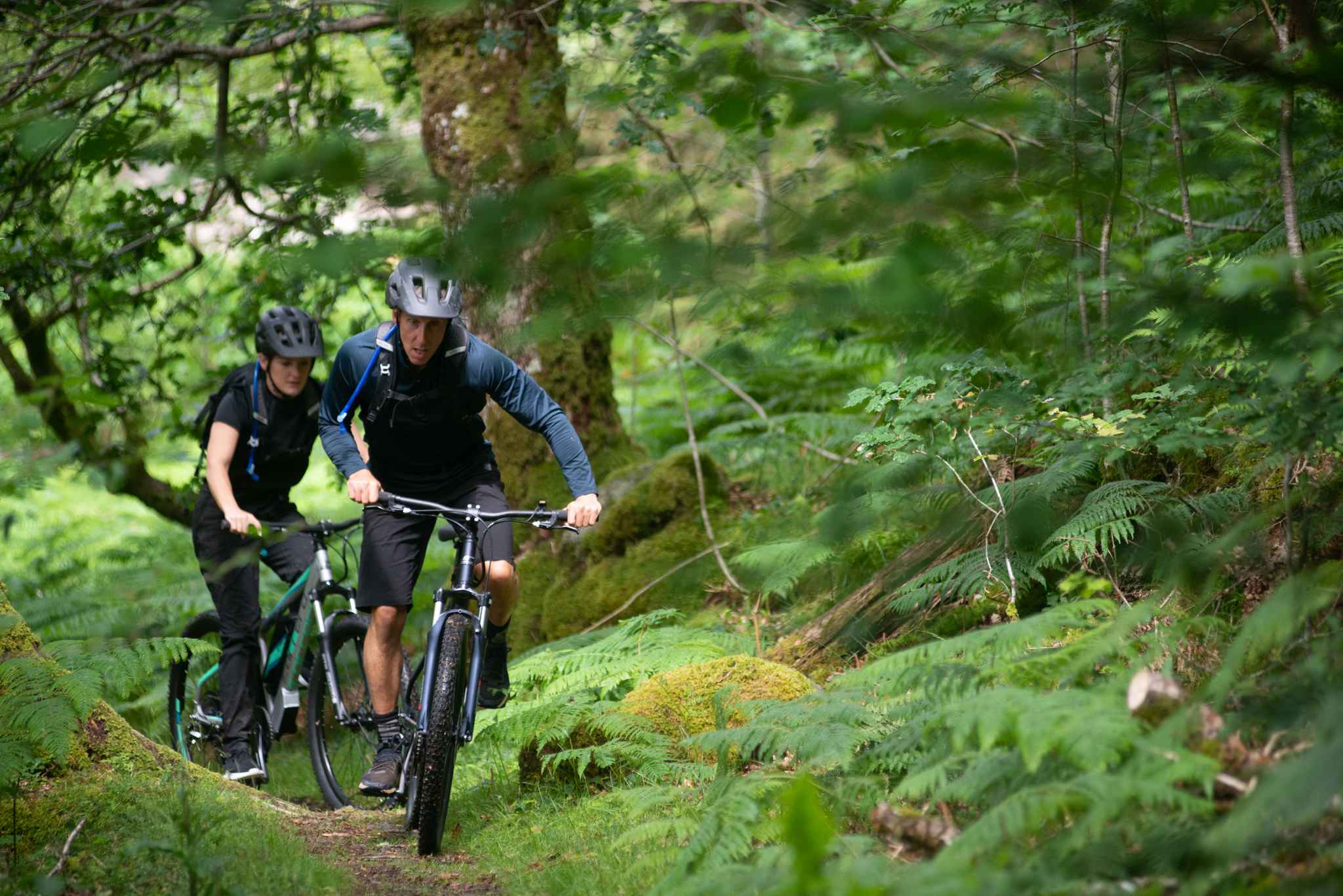 Blue Yer Tiz Trail Leigh Woods mountain bike ride Komoot