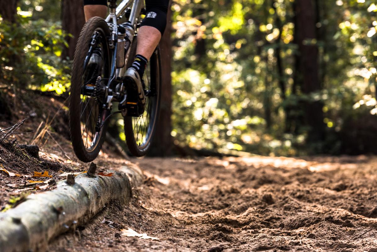 Één met de natuur – Mountainbikenetwerk Hoge Kempen | Mountainbike  Collectie van komoot