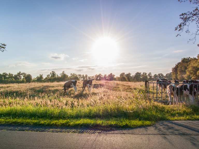 le-tour-jade-dans-l-ammerland-randonn-e-dans-le-nord-de-l-allemagne