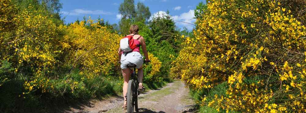 Op de fiets tot grote hoogte – Prachtige omgeving Hoge Ardennen | Mountainbike van komoot