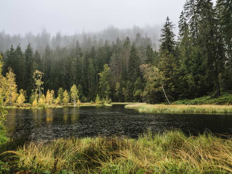 Hike lake to lake in the Black Forest National Park – 5 days on