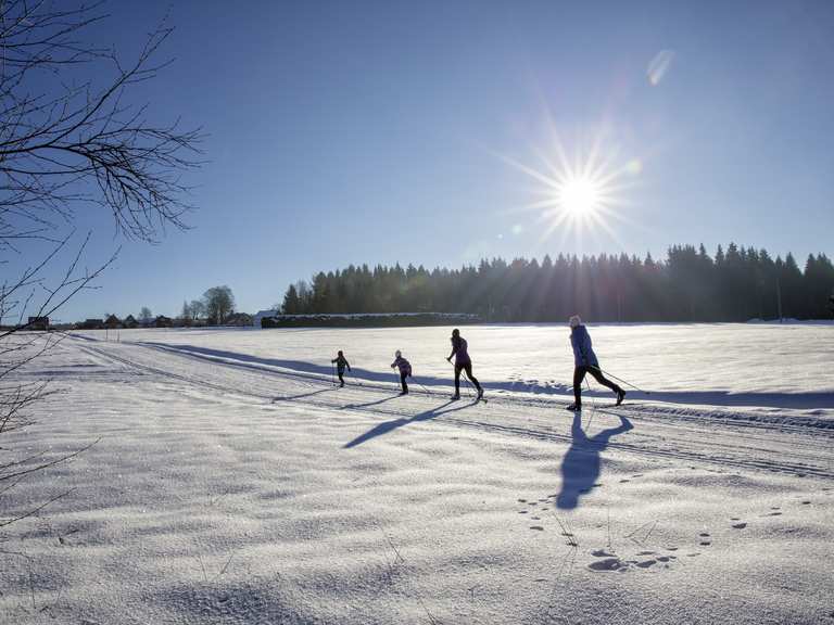 A snowy paradise winter hiking and crosscountry skiing in Germany’s