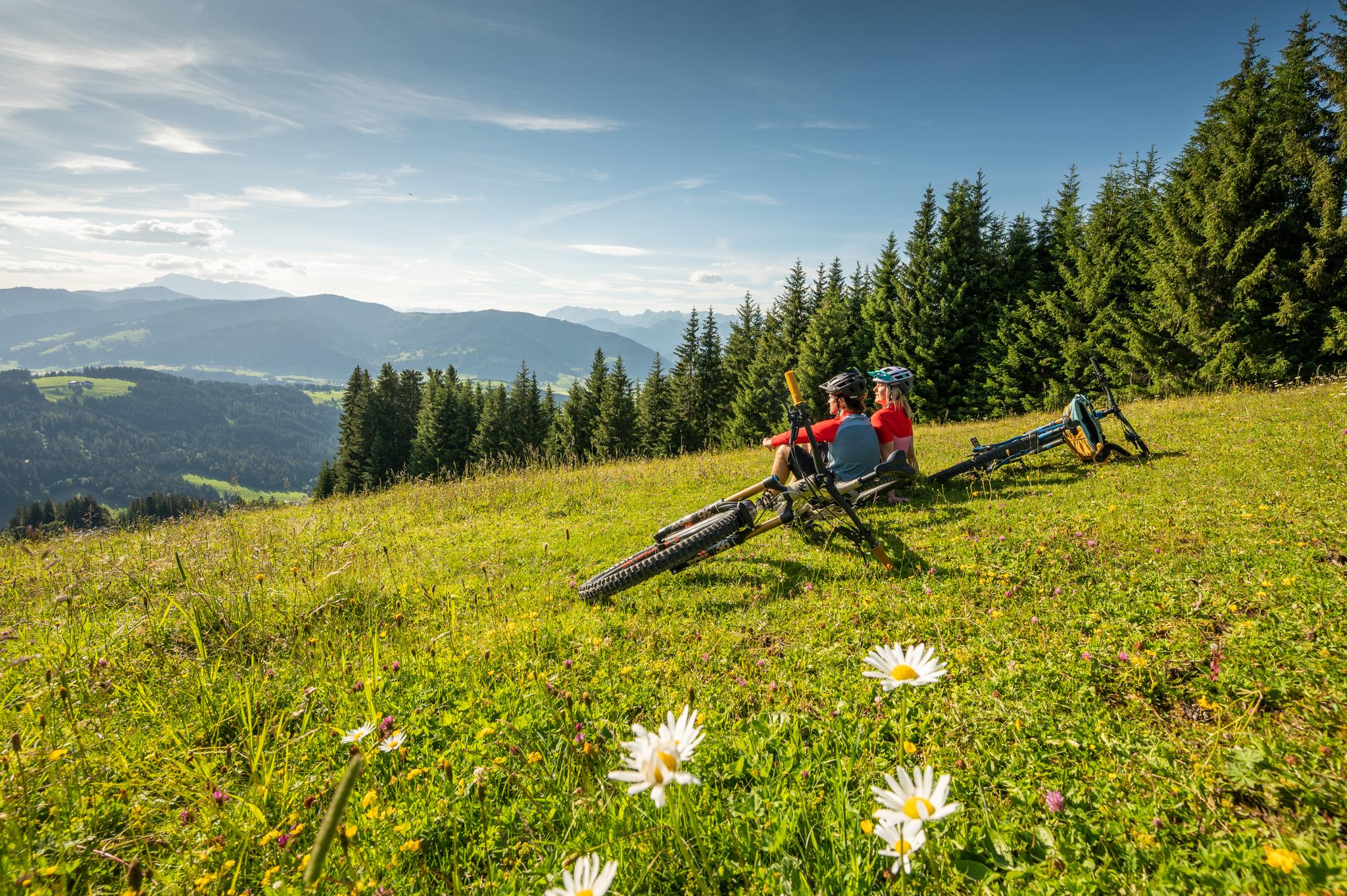 scott roxter 24 schutzblech VODHXA Fahrrad Set für Scale eRide 2020, Einstellbar Vorne Hinten Mudguard Schutz für 24-29 Zoll MTB Rennrad, Spritzwasser Schmutz, Schnelle Demontage,B Sport & Freizeit Color:Pink/Teal Atb Schoenen Mountainbike Schoenen Cowboy electric