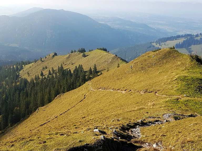 Escape The Noise Trail Runs Around Munich Running Collection By Komoot